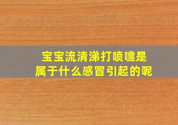 宝宝流清涕打喷嚏是属于什么感冒引起的呢