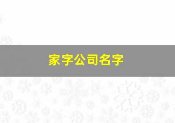 家字公司名字