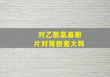 对乙酰氨基酚片对肾损害大吗