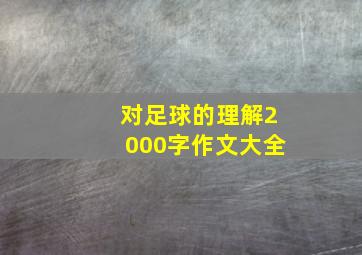 对足球的理解2000字作文大全