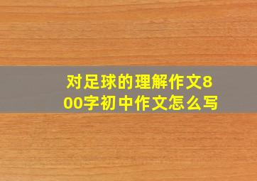 对足球的理解作文800字初中作文怎么写