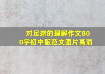 对足球的理解作文800字初中版范文图片高清