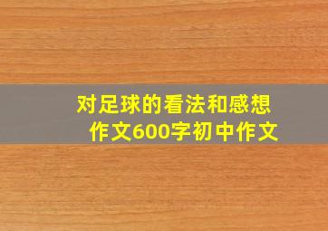 对足球的看法和感想作文600字初中作文