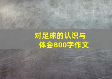 对足球的认识与体会800字作文