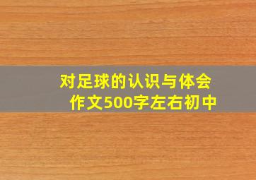 对足球的认识与体会作文500字左右初中