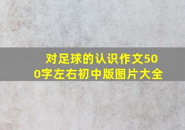 对足球的认识作文500字左右初中版图片大全