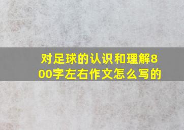 对足球的认识和理解800字左右作文怎么写的