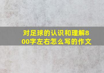 对足球的认识和理解800字左右怎么写的作文