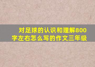 对足球的认识和理解800字左右怎么写的作文三年级