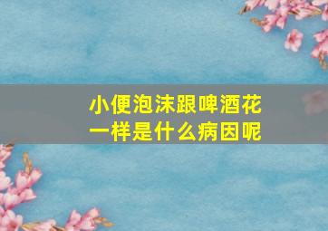 小便泡沫跟啤酒花一样是什么病因呢