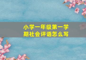 小学一年级第一学期社会评语怎么写