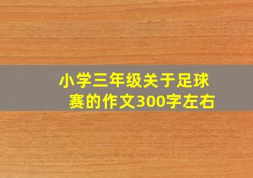 小学三年级关于足球赛的作文300字左右