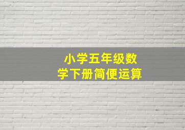 小学五年级数学下册简便运算