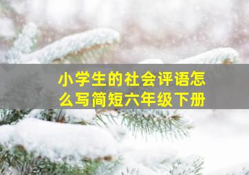 小学生的社会评语怎么写简短六年级下册