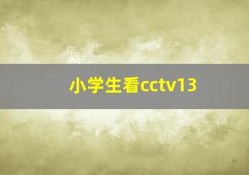 小学生看cctv13