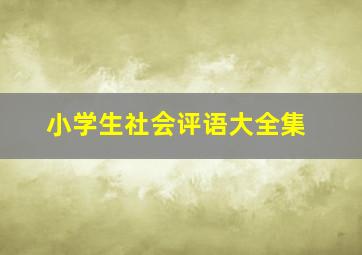 小学生社会评语大全集