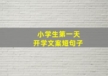 小学生第一天开学文案短句子