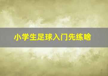 小学生足球入门先练啥