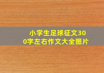 小学生足球征文300字左右作文大全图片