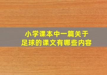 小学课本中一篇关于足球的课文有哪些内容