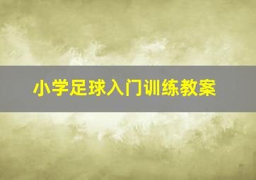 小学足球入门训练教案