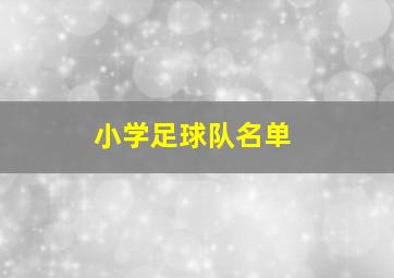 小学足球队名单