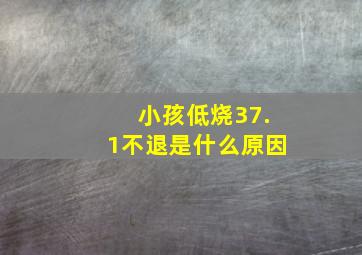 小孩低烧37.1不退是什么原因