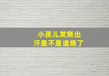 小孩儿发烧出汗是不是退烧了