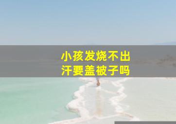 小孩发烧不出汗要盖被子吗