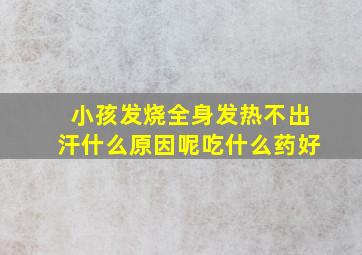 小孩发烧全身发热不出汗什么原因呢吃什么药好