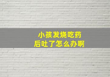 小孩发烧吃药后吐了怎么办啊