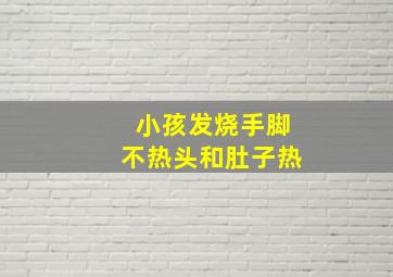 小孩发烧手脚不热头和肚子热