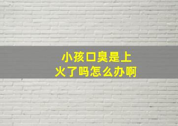 小孩口臭是上火了吗怎么办啊