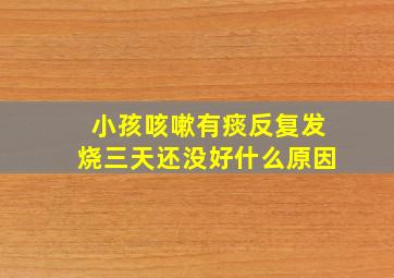 小孩咳嗽有痰反复发烧三天还没好什么原因