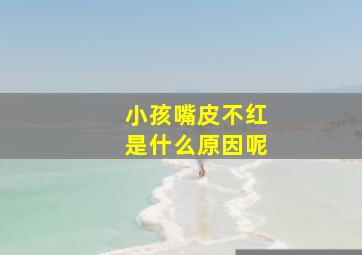 小孩嘴皮不红是什么原因呢