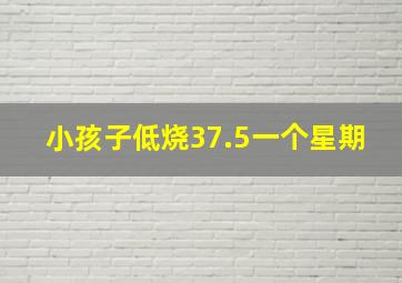 小孩子低烧37.5一个星期