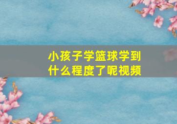 小孩子学篮球学到什么程度了呢视频