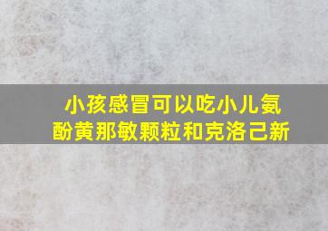 小孩感冒可以吃小儿氨酚黄那敏颗粒和克洛己新