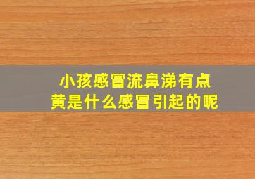 小孩感冒流鼻涕有点黄是什么感冒引起的呢