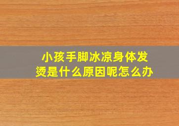 小孩手脚冰凉身体发烫是什么原因呢怎么办