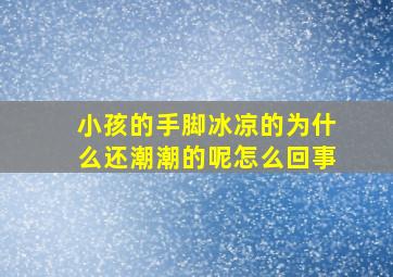 小孩的手脚冰凉的为什么还潮潮的呢怎么回事