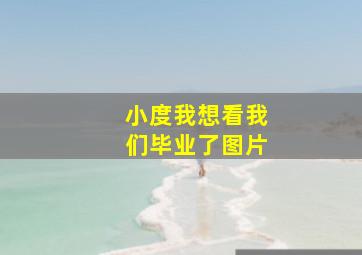 小度我想看我们毕业了图片