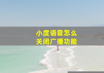 小度语音怎么关闭广播功能