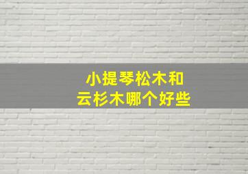 小提琴松木和云杉木哪个好些