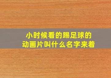 小时候看的踢足球的动画片叫什么名字来着