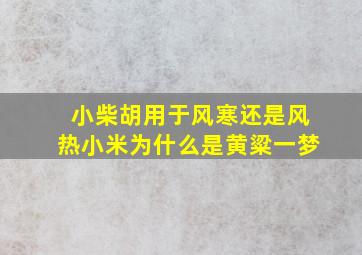 小柴胡用于风寒还是风热小米为什么是黄粱一梦