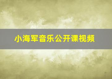 小海军音乐公开课视频