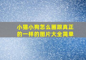 小猫小狗怎么画跟真正的一样的图片大全简单