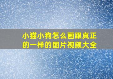 小猫小狗怎么画跟真正的一样的图片视频大全