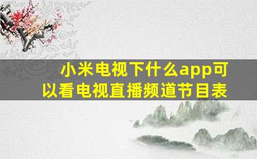 小米电视下什么app可以看电视直播频道节目表